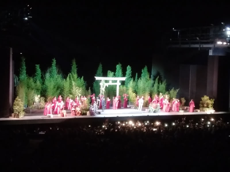 Madama Butterfly, Torre del Lago Puccini