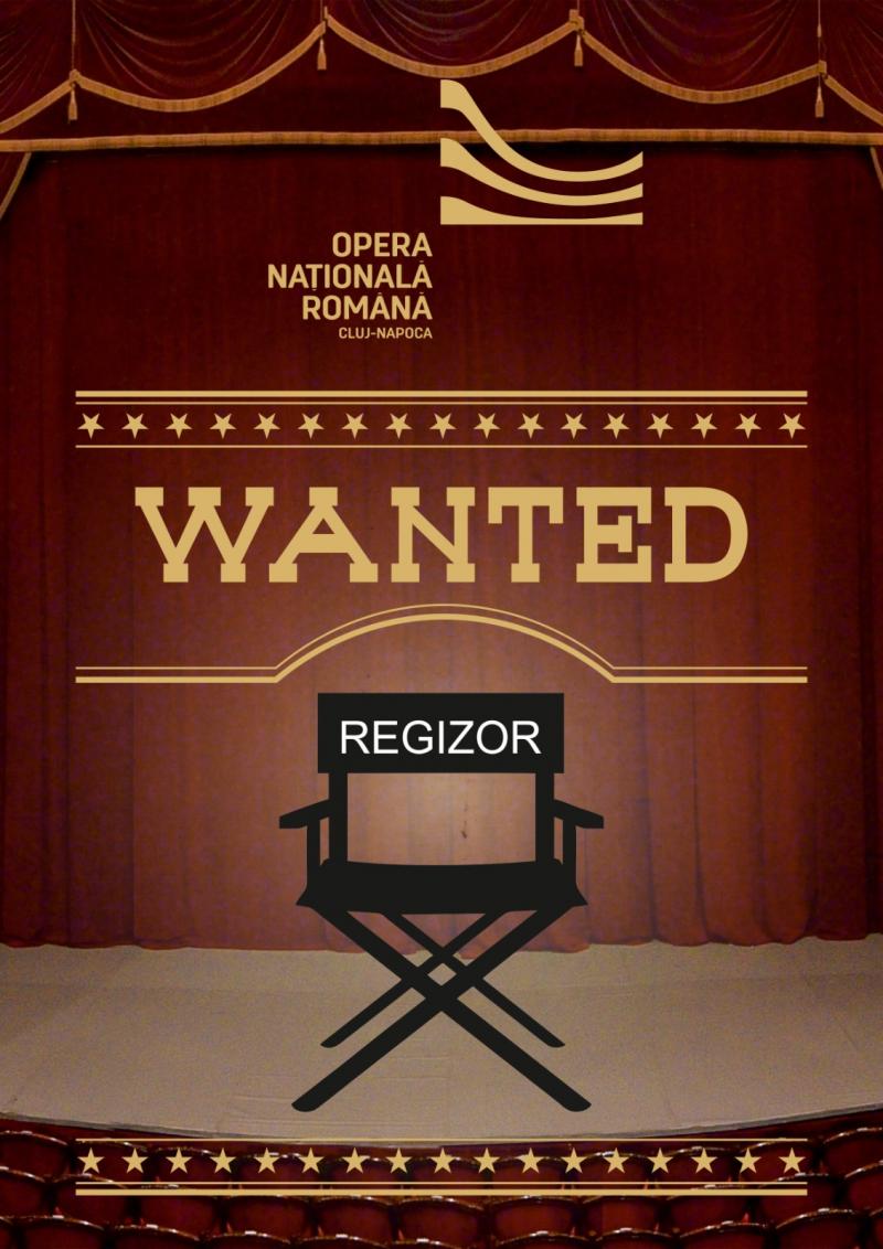 Opera Națională Română din Cluj-Napoca este în căutarea unui regizor tânăr!